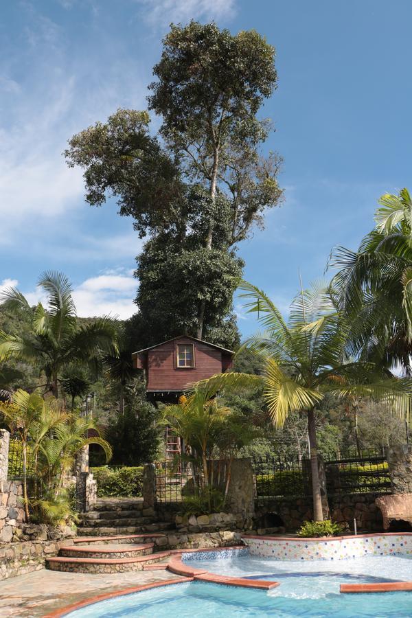 La Casa Del Arbol Hotel San Francisco  Exterior photo
